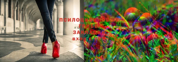 мяу мяу мука Белоозёрский