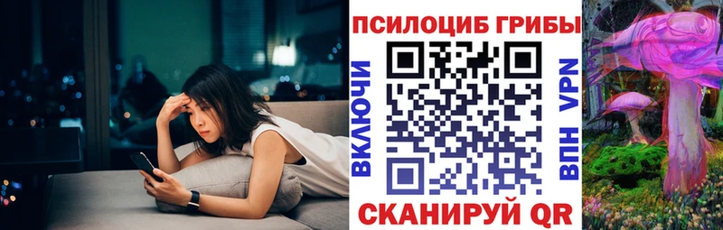 Галлюциногенные грибы Magic Shrooms закладки Светогорск